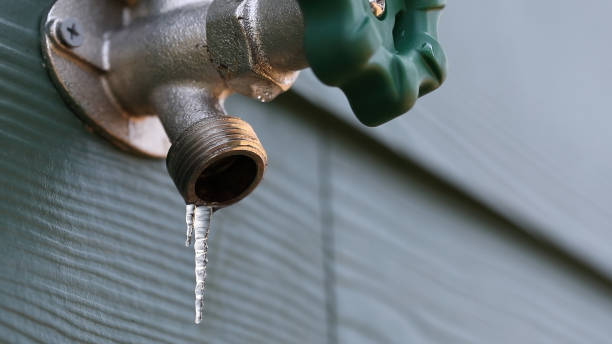 Best Local Plumber Services  in Canton, NC